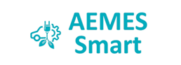 Aemes Smart